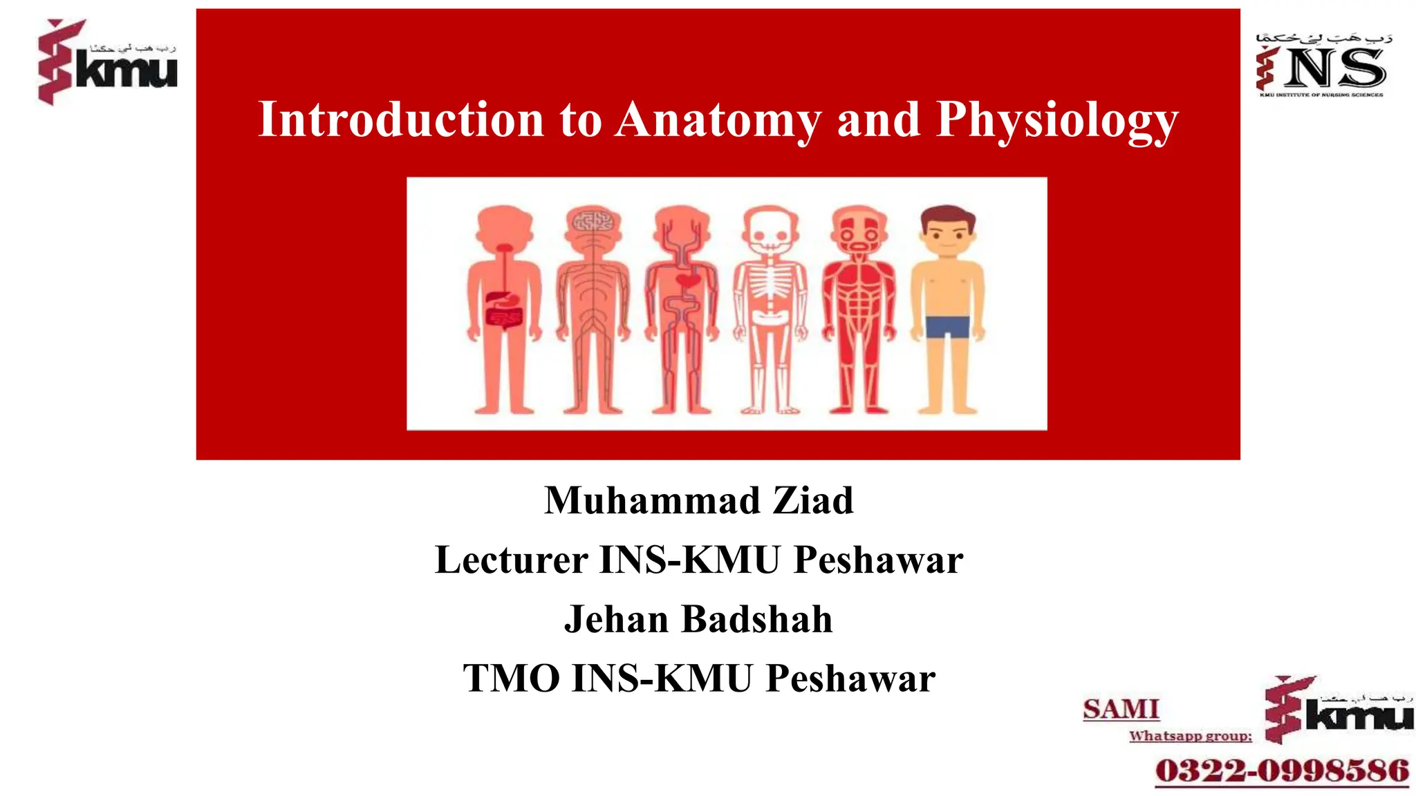 Lecture 1 Anatomy and physiolgy for bsn generic students semester 1  PPT