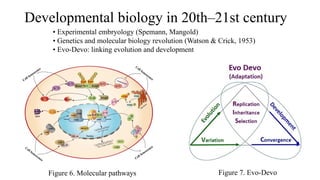 Lecture #1 Introduction_to_Dev_Biol.pptx