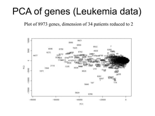 PCA of genes (Leukemia data)
Plot of 8973 genes, dimension of 34 patients reduced to 2
 