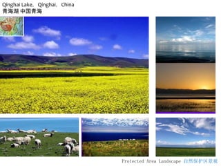 Protected Area Landscape 自然保护区景观
Qinghai Lake，Qinghai，China
青海湖 中国青海
 
