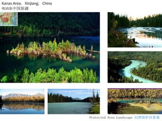 Protected Area Landscape 自然保护区景观
Kanas Area，Xinjiang，China
喀纳斯中国新疆
 