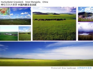 Protected Area Landscape 自然保护区景观
Hunlunbeier Grassland，lnner Mongolia，China
呼伦贝尔大草原 中国内蒙古自治区
 