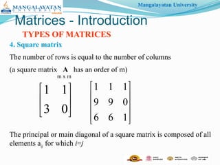 Basic introduction and types of matrices | PPTX