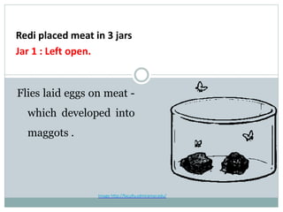 Redi placed meat in 3 jars
Jar 1 : Left open.
Flies laid eggs on meat -
which developed into
maggots .
Image http://faculty.sdmiramar.edu/
 