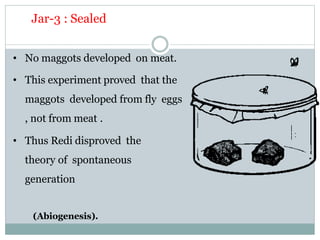 Jar-3 : Sealed
• No maggots developed on meat.
• This experiment proved that the
maggots developed from fly eggs
, not from meat .
• Thus Redi disproved the
theory of spontaneous
generation
(Abiogenesis).
 