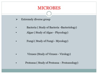 MICROBES
 Extremely diverse group
• Bacteria ( Study of Bacteria -Bacteriology)
• Algae ( Study of Algae - Phycology)
• Fungi ( Study of Fungi - Mycology)
• Viruses (Study of Viruses - Virology)
• Protozoa ( Study of Protozoa - Protozoology)
 