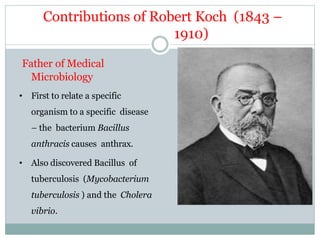 Contributions of Robert Koch (1843 –
1910)
Father of Medical
Microbiology
• First to relate a specific
organism to a specific disease
– the bacterium Bacillus
anthracis causes anthrax.
• Also discovered Bacillus of
tuberculosis (Mycobacterium
tuberculosis ) and the Cholera
vibrio.
 