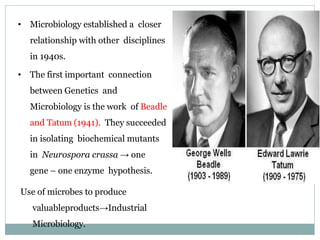 • Microbiology established a closer
relationship with other disciplines
in 1940s.
• The first important connection
between Genetics and
Microbiology is the work of Beadle
and Tatum (1941). They succeeded
in isolating biochemical mutants
in Neurospora crassa → one
gene – one enzyme hypothesis.
Use of microbes to produce
valuableproducts→Industrial
Microbiology.
 