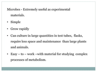 Microbes - Extremely useful as experimental
materials.
• Simple
• Grow rapidly
• Can culture in large quantities in test tubes, flasks,
require less space and maintenance than large plants
and animals.
• Easy – to – work –with material for studying complex
processes of metabolism.
 