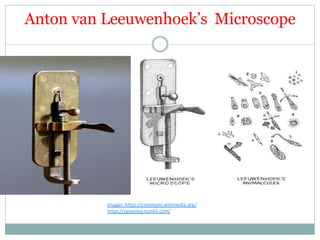 Anton van Leeuwenhoek’s Microscope
Images: https://commons.wikimedia.org/
https://yalepress.tumblr.com/
 