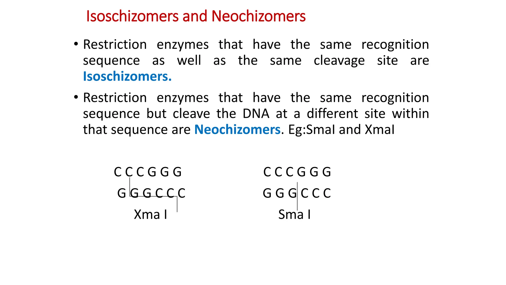 • Restriction enzymes that have the same recognition
sequence as well as the same cleavage site are
Isoschizomers.
• Restriction enzymes that have the same recognition
sequence but cleave the DNA at a different site within
that sequence are Neochizomers. Eg:SmaI and XmaI
C C C G G G C C C G G G
G G G C C C G G G C C C
Xma I Sma I
Isoschizomers and Neochizomers
 