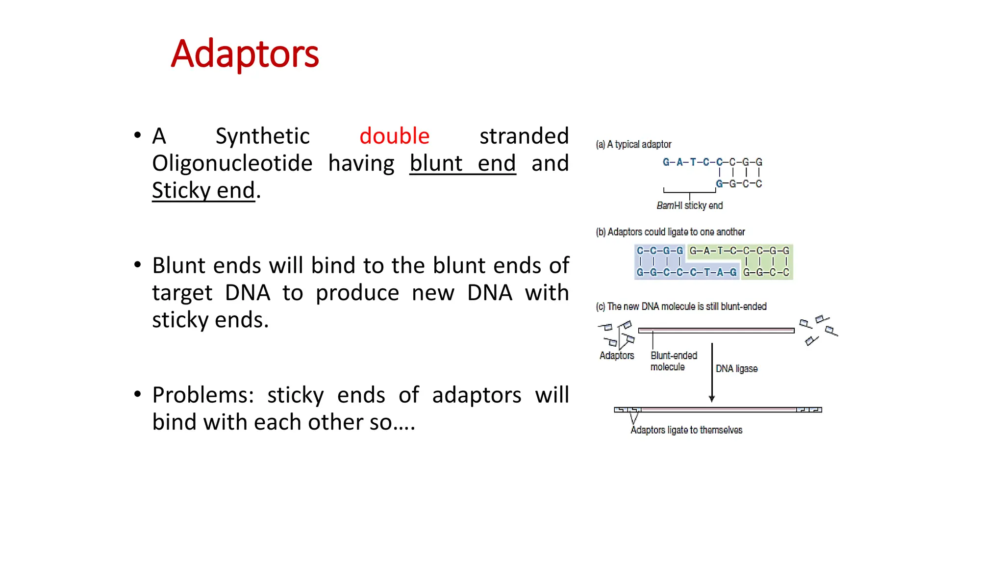 Adaptors
• A Synthetic double stranded
Oligonucleotide having blunt end and
Sticky end.
• Blunt ends will bind to the blunt ends of
target DNA to produce new DNA with
sticky ends.
• Problems: sticky ends of adaptors will
bind with each other so….
 