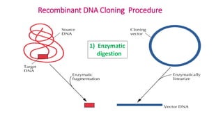 Lecture+1+Molecular+cloning.pdf MOLECULAR BIOLOGY | PDF