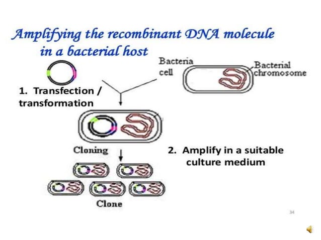 Lecture 1 molecular tech. RDT By Dr Vishnu Kumar Professor ...