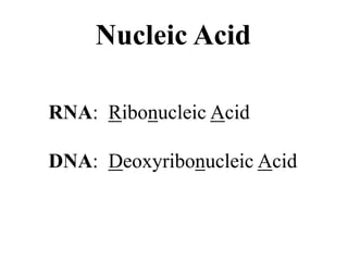 RNA: Ribonucleic Acid
DNA: Deoxyribonucleic Acid
Nucleic Acid
 