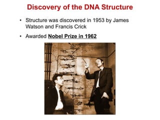 Discovery of the DNA Structure
• Structure was discovered in 1953 by James
Watson and Francis Crick
• Awarded Nobel Prize in 1962
 