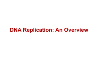 DNA Replication: An Overview
 