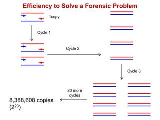 Efficiency to Solve a Forensic Problem
1copy
Cycle 1
Cycle 3
Cycle 2
8,388,608 copies
(223)
20 more
cycles
 