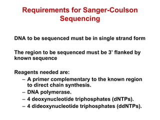 Requirements for Sanger-Coulson
Sequencing
DNA to be sequenced must be in single strand form
The region to be sequenced must be 3’ flanked by
known sequence
Reagents needed are:
– A primer complementary to the known region
to direct chain synthesis.
– DNA polymerase.
– 4 deoxynucleotide triphosphates (dNTPs).
– 4 dideoxynucleotide triphosphates (ddNTPs).
 