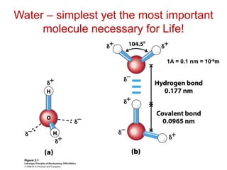 Water – simplest yet the most important
molecule necessary for Life!
1A = 0.1 nm = 10-9m
 