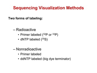 Sequencing Visualization Methods
Two forms of labeling:
– Radioactive
• Primer labeled (32P or 33P)
• dNTP labeled (35S)
– Nonradioactive
• Primer labeled
• ddNTP labeled (big dye terminator)
 