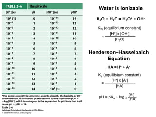 Henderson–Hasselbalch
Equation
Water is ionizable
H2O + H2O = H3O+ + OH-
KW (equilibrium constant)
[H+] x [OH-]
[H2O]
=
HA = H+ + A-
Ka (equilibrium constant)
[H+] x [A-]
[HA]
=
pH = pKa + log10
[A-]
[HA]
 