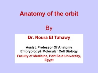 Anatomy of the orbit
By
Dr. Noura El Tahawy
Assist. Professor Of Anatomy
Embryology& Molecular Cell Biology
Faculty of Medicine, Port Said University,
Egypt
 