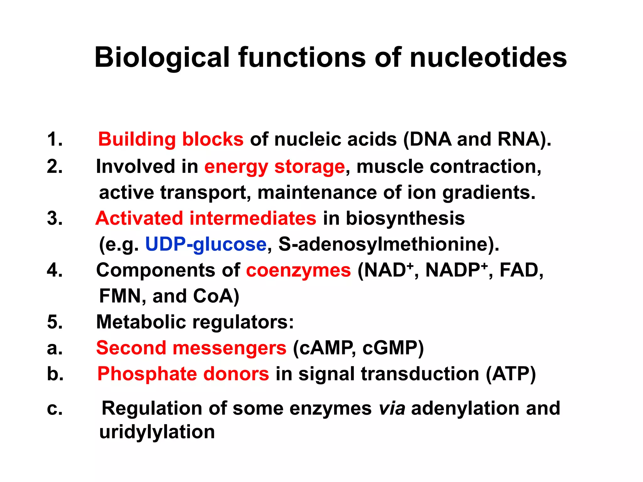 Biological functions of nucleotides
1. Building blocks of nucleic acids (DNA and RNA).
2. Involved in energy storage, muscle contraction,
active transport, maintenance of ion gradients.
3. Activated intermediates in biosynthesis
(e.g. UDP-glucose, S-adenosylmethionine).
4. Components of coenzymes (NAD+, NADP+, FAD,
FMN, and CoA)
5. Metabolic regulators:
a. Second messengers (cAMP, cGMP)
b. Phosphate donors in signal transduction (ATP)
c. Regulation of some enzymes via adenylation and
uridylylation
 