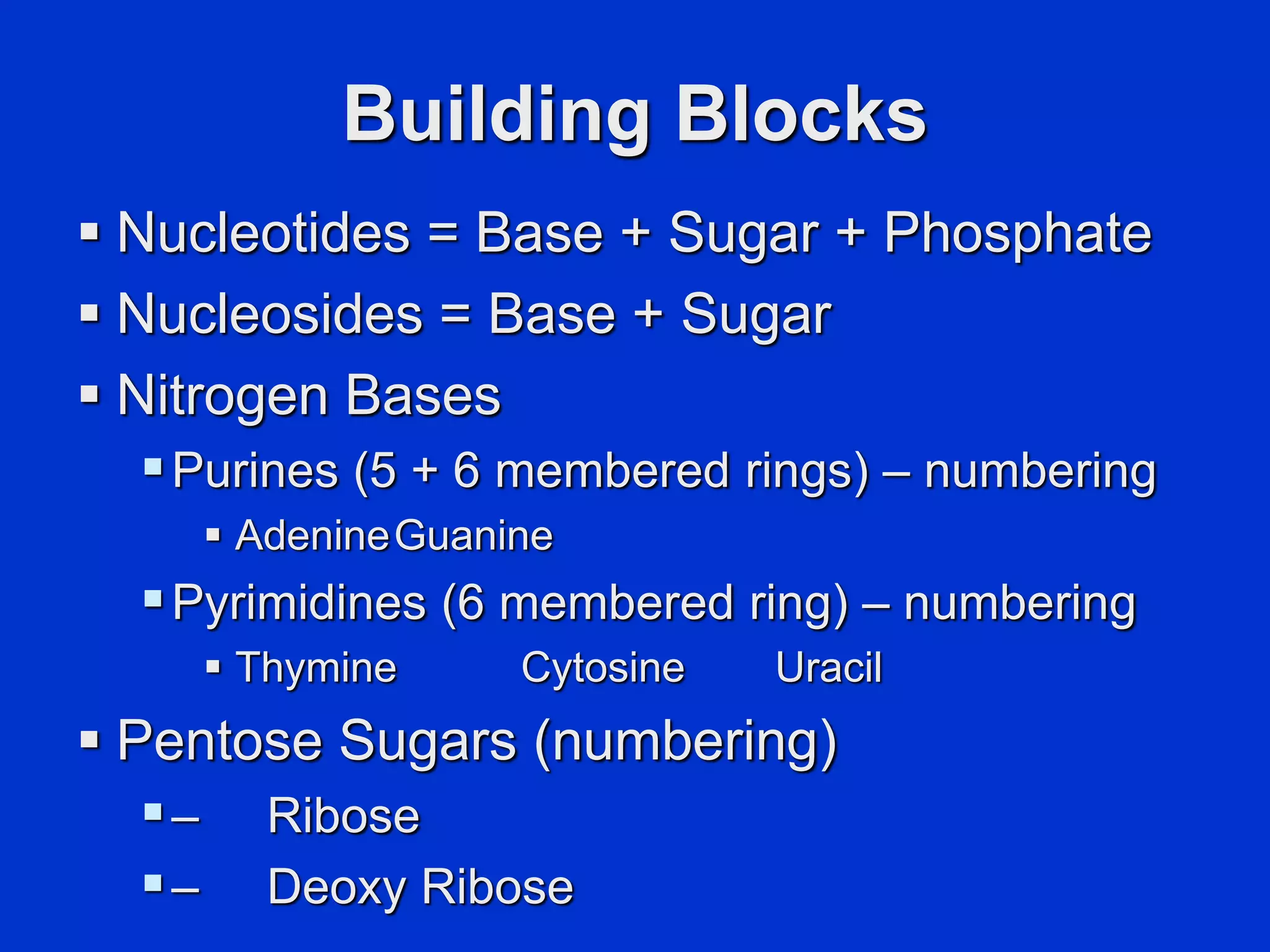 Building Blocks
 Nucleotides = Base + Sugar + Phosphate
 Nucleosides = Base + Sugar
 Nitrogen Bases
Purines (5 + 6 membered rings) – numbering
 AdenineGuanine
Pyrimidines (6 membered ring) – numbering
 Thymine Cytosine Uracil
 Pentose Sugars (numbering)
– Ribose
– Deoxy Ribose
 
