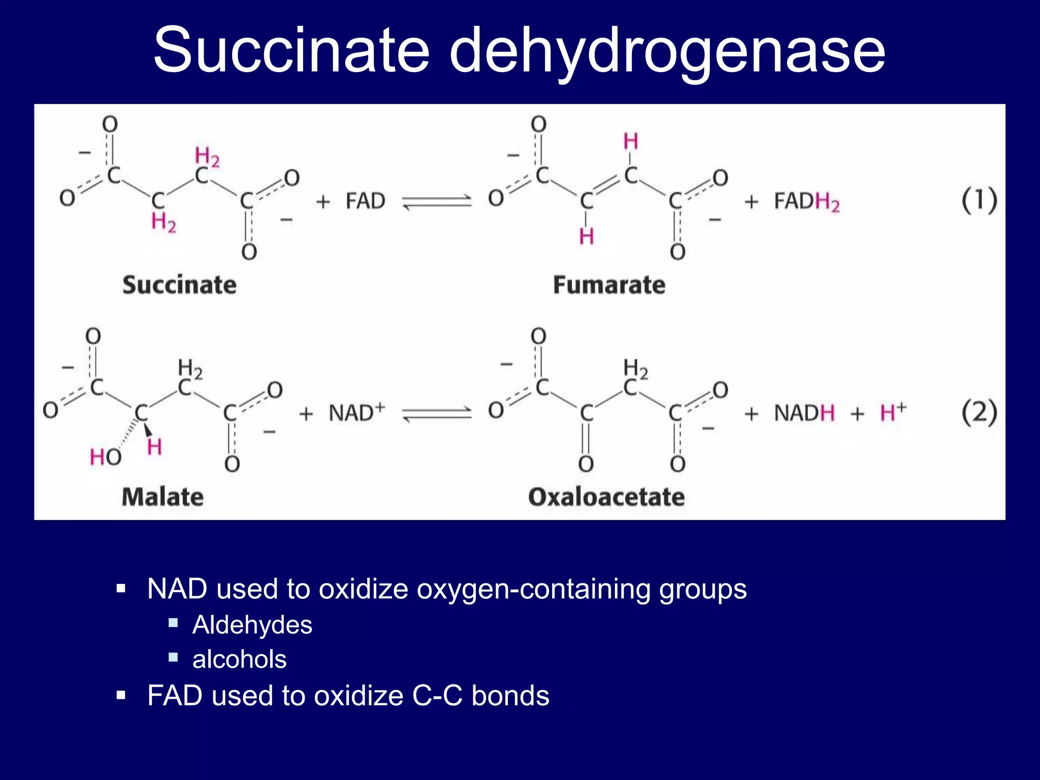 Succinate dehydrogenase
 NAD used to oxidize oxygen-containing groups
 Aldehydes
 alcohols
 FAD used to oxidize C-C bonds
 