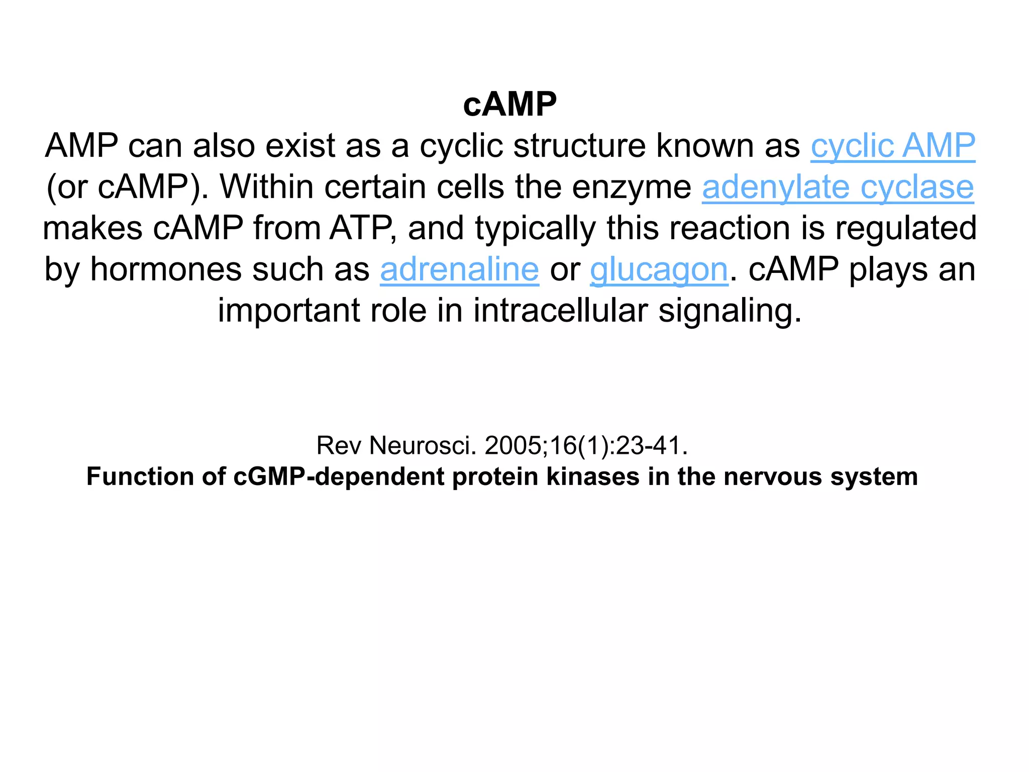 cAMP
AMP can also exist as a cyclic structure known as cyclic AMP
(or cAMP). Within certain cells the enzyme adenylate cyclase
makes cAMP from ATP, and typically this reaction is regulated
by hormones such as adrenaline or glucagon. cAMP plays an
important role in intracellular signaling.
Rev Neurosci. 2005;16(1):23-41.
Function of cGMP-dependent protein kinases in the nervous system
 