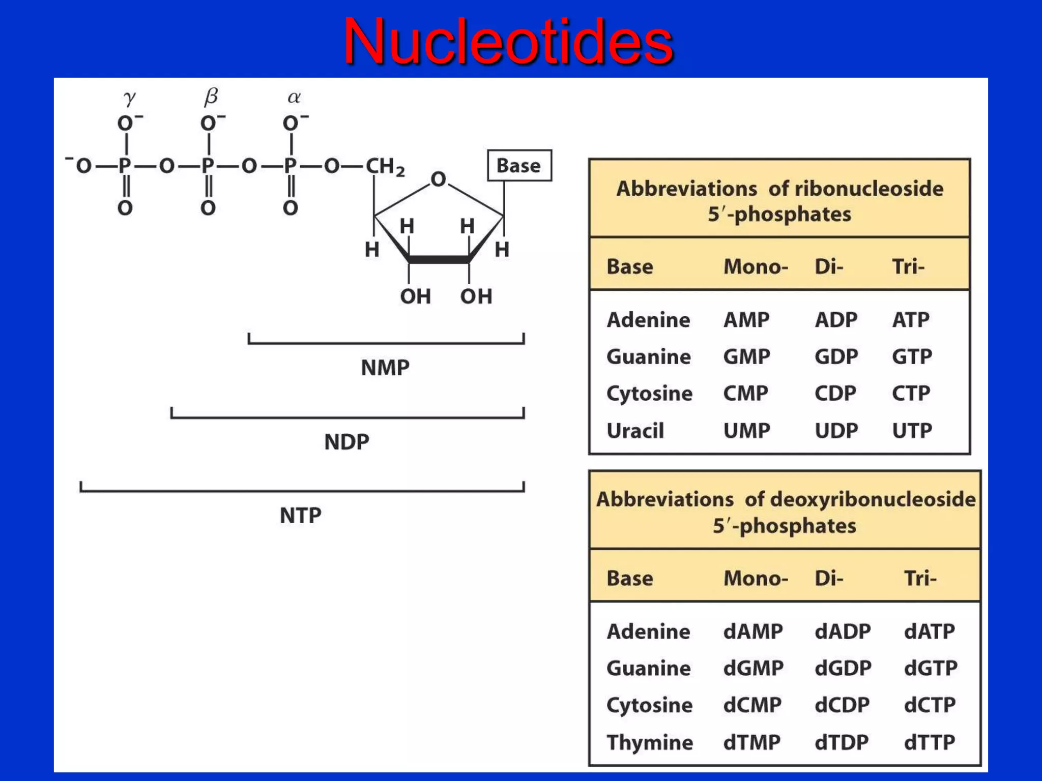 Nucleotides
 