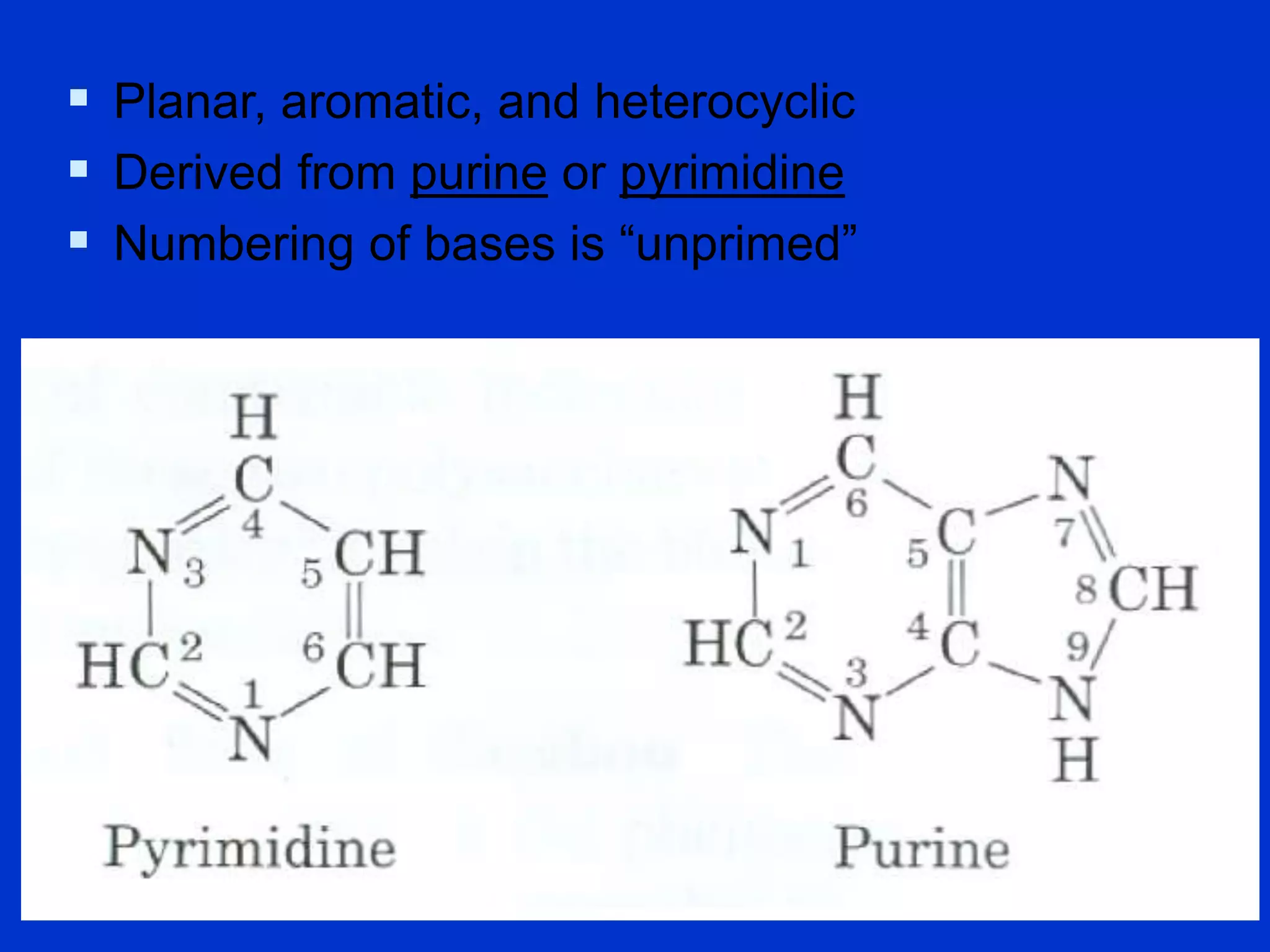 5
 Planar, aromatic, and heterocyclic
 Derived from purine or pyrimidine
 Numbering of bases is “unprimed”
Nitrogenous Bases
 