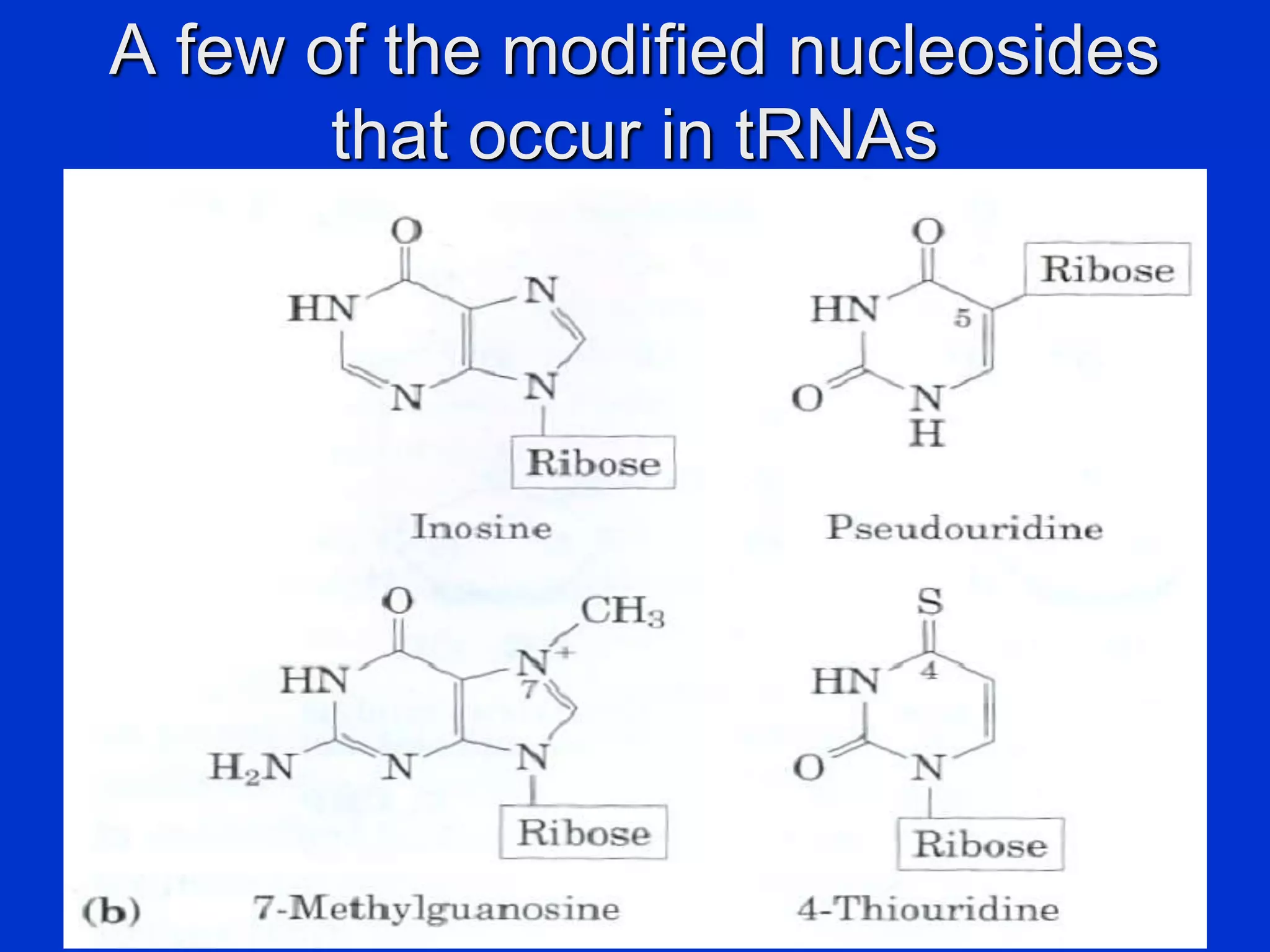 8
A few of the modified nucleosides
that occur in tRNAs
 