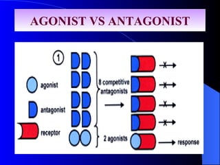 AGONIST VS ANTAGONIST 