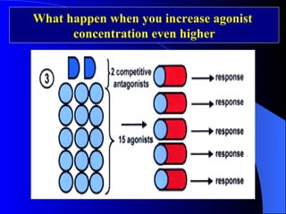What happen when you increase agonist  concentration even higher 