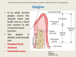 Normal Gingiva Lecture 1 (Pr) (1).pptx mandibular fractures | PPTX