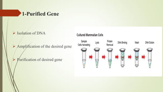  Recombinant DNA.pptx