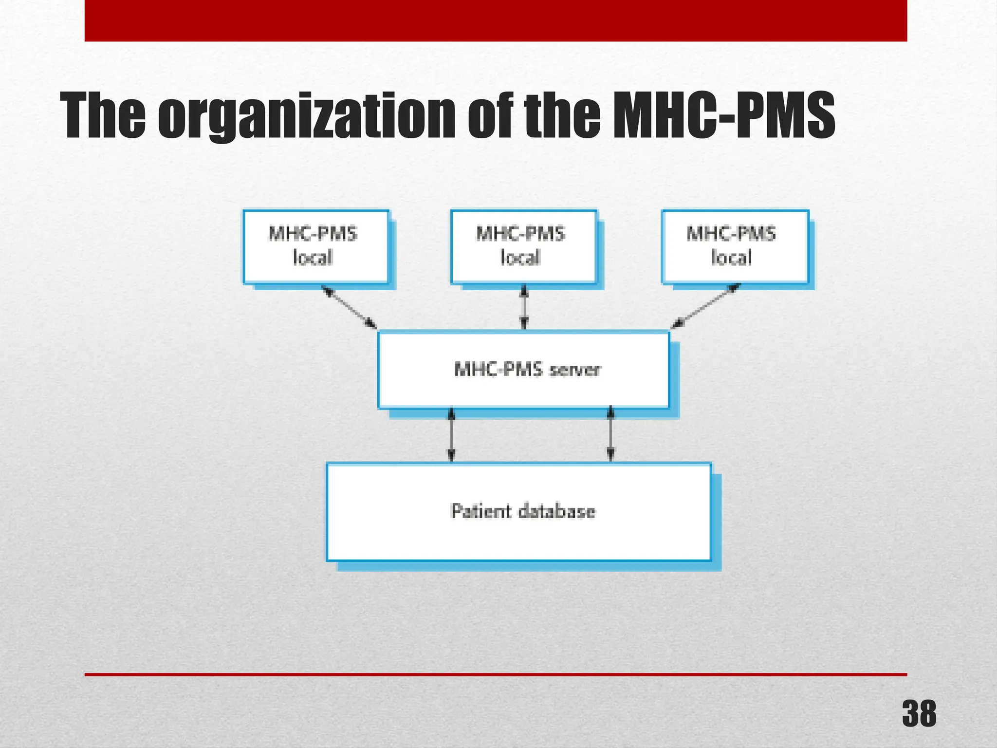 The organization of the MHC-PMS 38 