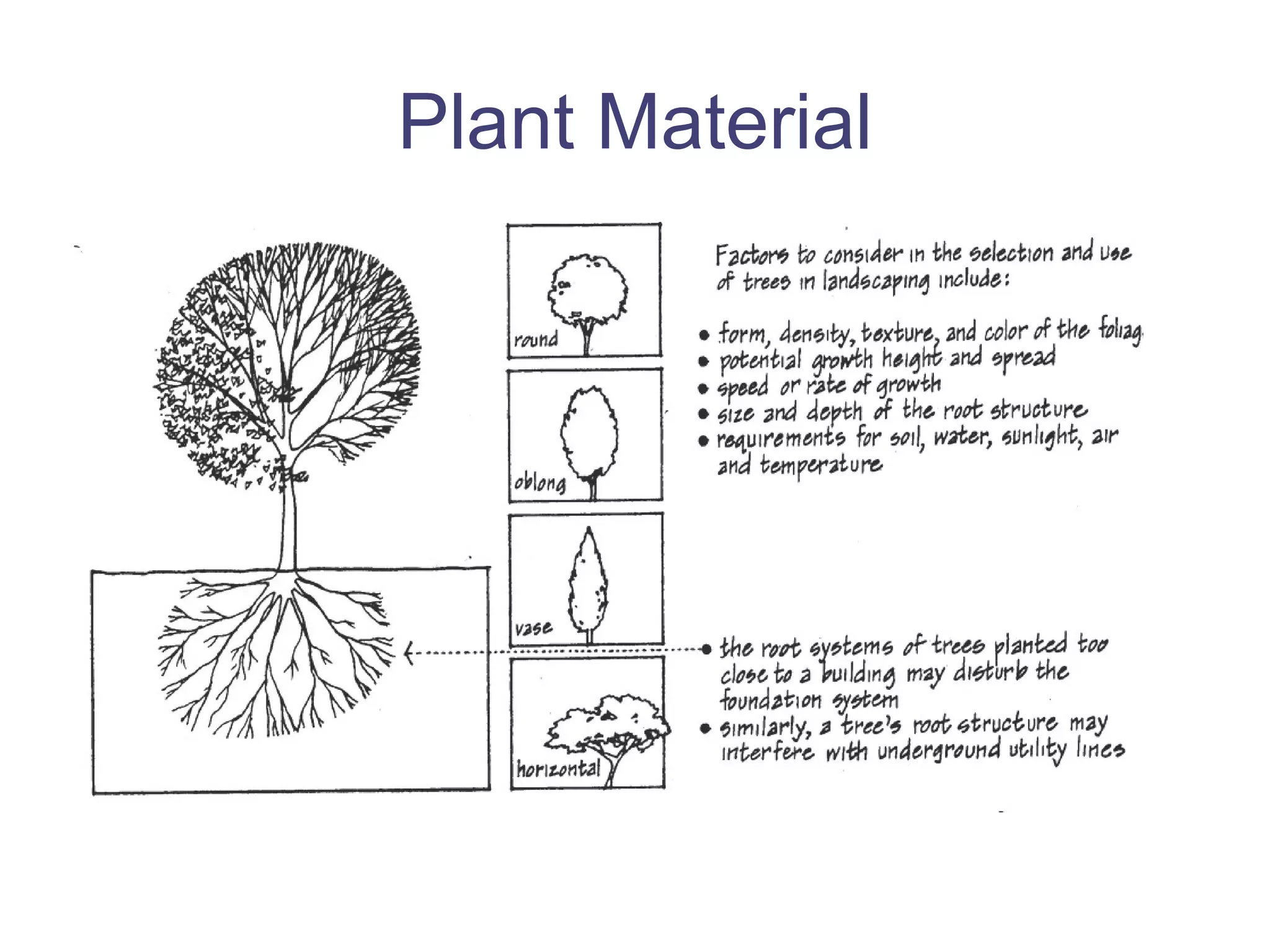 Plant Material 