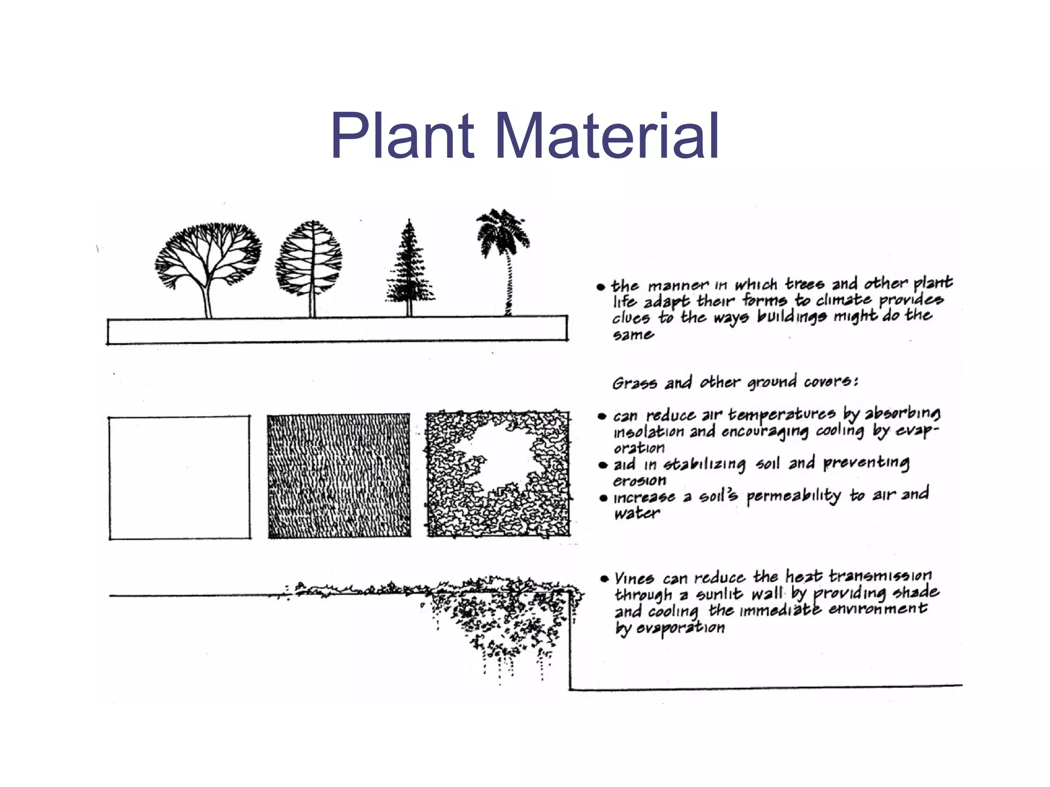 Plant Material 