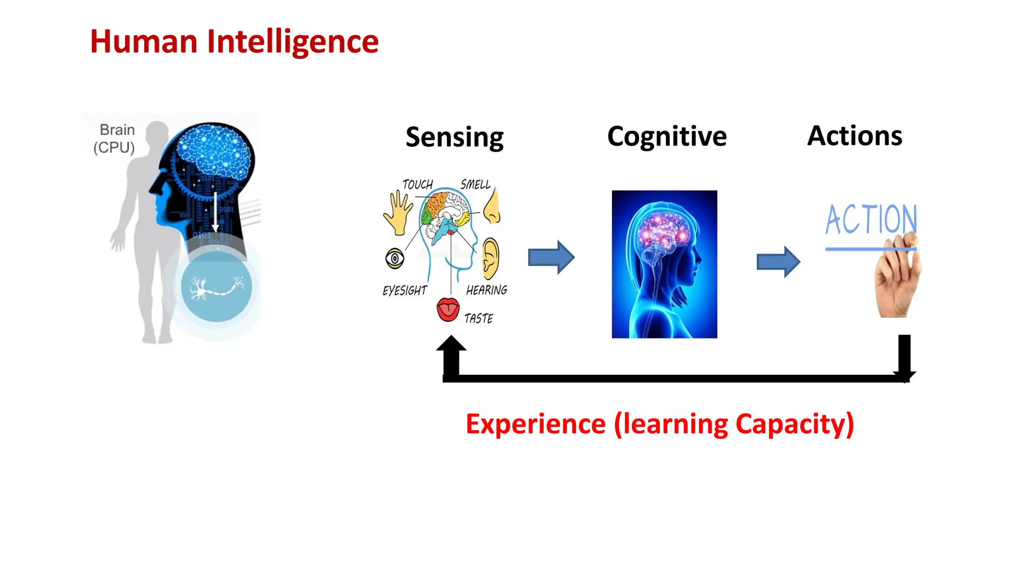 Human Intelligence
Experience (learning Capacity)
Sensing Cognitive Actions
 