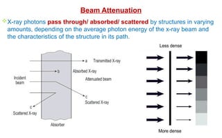 X-ray photons pass through/ absorbed/ scattered by structures in varying
amounts, depending on the average photon energy of the x-ray beam and
the characteristics of the structure in its path.
Beam Attenuation
 