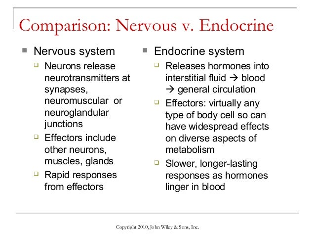 Lecture 1 the endocrine system