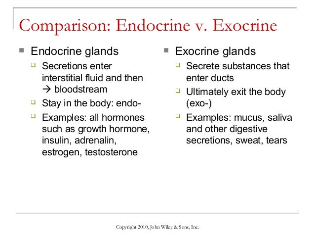 Lecture 1 the endocrine system