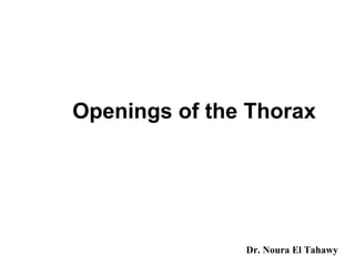 Openings of the Thorax Dr. Noura El Tahawy 