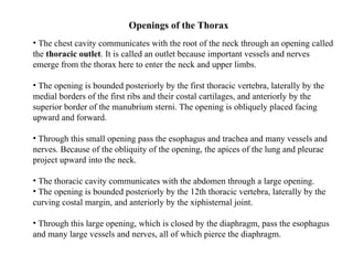 The chest cavity communicates with the root of the neck through an opening called the   thoracic outlet .  It is called an outlet because important vessels and nerves emerge from the thorax here to enter the neck and upper limbs.  The opening is bounded posteriorly by the first thoracic vertebra, laterally by the medial borders of the first ribs and their costal cartilages, and anteriorly by the superior border of the manubrium sterni. The opening is obliquely placed facing upward and forward.  Through this small opening pass the esophagus and trachea and many vessels and nerves. Because of the obliquity of the opening, the apices of the lung and pleurae project upward into the neck . The thoracic cavity communicates with the abdomen through a large opening.  The opening is bounded posteriorly by the 12th thoracic vertebra, laterally by the curving costal margin, and anteriorly by the xiphisternal joint. Through this large opening, which is closed by the diaphragm, pass the esophagus and many large vessels and nerves, all of which pierce the diaphragm . Openings of the Thorax 