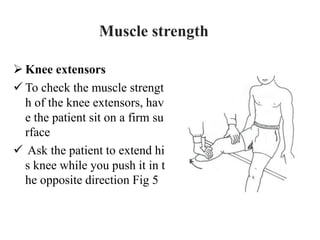  Knee extensors
 To check the muscle strengt
h of the knee extensors, hav
e the patient sit on a firm su
rface
 Ask the patient to extend hi
s knee while you push it in t
he opposite direction Fig 5
Muscle strength
 