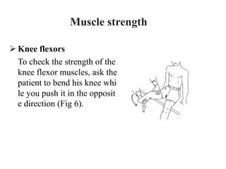  Knee flexors
To check the strength of the
knee flexor muscles, ask the
patient to bend his knee whi
le you push it in the opposit
e direction (Fig 6).
Muscle strength
 