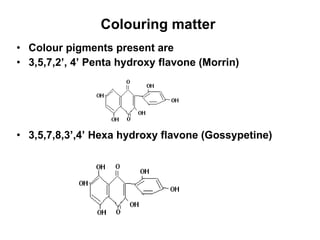 Colouring matter  Colour pigments present are 3,5,7,2’, 4’ Penta hydroxy flavone (Morrin) 3,5,7,8,3’,4’ Hexa hydroxy flavone (Gossypetine) 